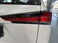 Lexus NX 300 300h Business Navigation 2WD Blanco - thumbnail 13
