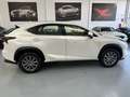 Lexus NX 300 300h Business Navigation 2WD Blanco - thumbnail 5