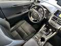 Lexus NX 300 300h Business Navigation 2WD Blanco - thumbnail 21