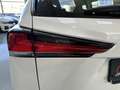 Lexus NX 300 300h Business Navigation 2WD Blanco - thumbnail 14