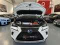Lexus NX 300 300h Business Navigation 2WD Blanco - thumbnail 42