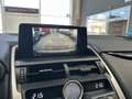 Lexus NX 300 300h Business Navigation 2WD Blanco - thumbnail 38