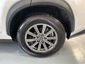 Lexus NX 300 300h Business Navigation 2WD Blanco - thumbnail 15