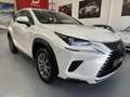 Lexus NX 300 300h Business Navigation 2WD Blanco - thumbnail 4