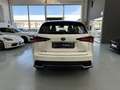 Lexus NX 300 300h Business Navigation 2WD Blanco - thumbnail 7