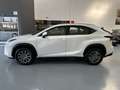 Lexus NX 300 300h Business Navigation 2WD Blanco - thumbnail 10