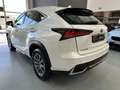 Lexus NX 300 300h Business Navigation 2WD Blanco - thumbnail 9