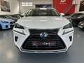 Lexus NX 300 300h Business Navigation 2WD Blanco - thumbnail 2
