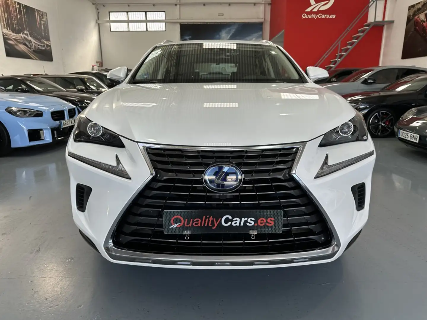 Lexus NX 300 300h Business Navigation 2WD Blanco - 2