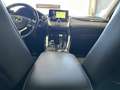 Lexus NX 300 300h Business Navigation 2WD Blanco - thumbnail 24