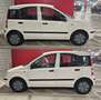 Fiat Panda 1.2 Dynamic - thumbnail 2