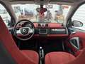 smart forTwo Deportivo Automático de 2 Puertas Negro - thumbnail 10