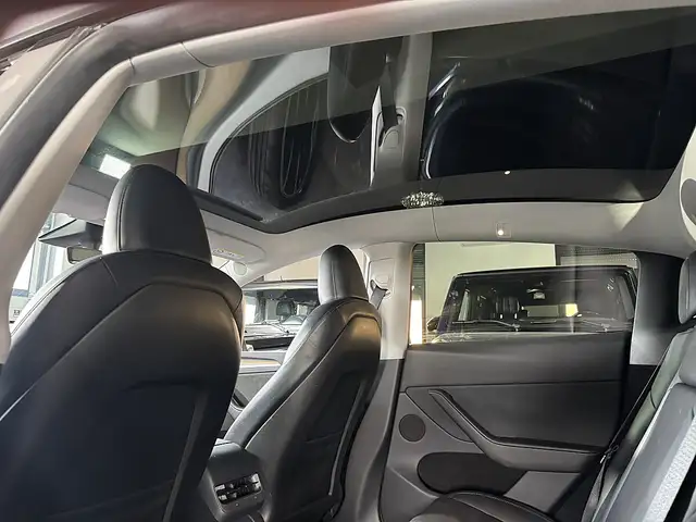 Tesla Model Y view 12