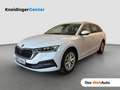 Skoda Octavia Premium TDI DSG Weiß - thumbnail 1