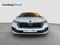 Skoda Octavia Premium TDI DSG Weiß - thumbnail 2