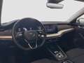 Skoda Octavia Premium TDI DSG Weiß - thumbnail 8