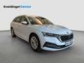 Skoda Octavia Premium TDI DSG Weiß - thumbnail 6