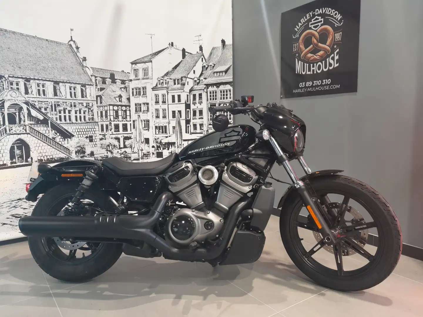 Harley-Davidson Sportster - 1