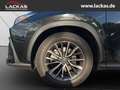Lexus NX 350h EXECUTIVE*E-FOUR*HUD*ALLSEASON*MEMORY*360KAM Noir - thumbnail 21