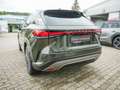 Lexus RX 350 H Executive Line "sofort" ACC HUD PANO Vert - thumbnail 26