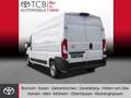 Toyota Proace Max L2H2 Kasten Work Duty 3,5t AHK KLIMA KAMERA Blanc - thumbnail 2