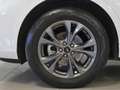 Ford Kuga ST-Line X 2.5 Duratec PHEV 165kW Auto Blanco - thumbnail 6