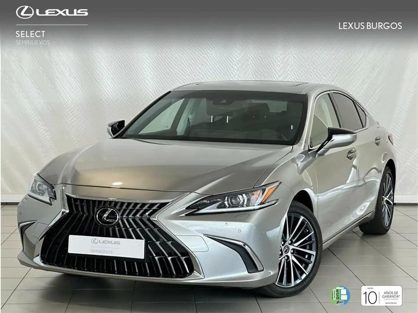 Lexus ES 300 2.5 300h Premium Gris - 1