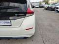 Nissan Leaf II 2018 Business 40kWh 150cv Bianco - thumbnail 12