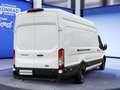 Ford Transit Transit 350 L4H3 Lkw HA Trend (V363) Weiß - thumbnail 5