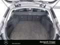 Mercedes-Benz C 220 C 220 dT Avantgarde Distr.AHK,Memo.Totw.LED,Kam. Schwarz - thumbnail 8