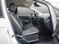 Ford EcoSport Ford Ecosport ST Line  NAVI+SZH+PDC Weiß - thumbnail 4