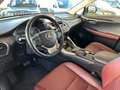 Lexus NX 300 2.5 Hybrid 4WD Luxury cvt Grigio - thumbnail 9