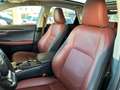 Lexus NX 300 2.5 Hybrid 4WD Luxury cvt Gris - thumbnail 11