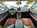 Lexus NX 300 2.5 Hybrid 4WD Luxury cvt Gris - thumbnail 8