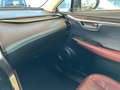 Lexus NX 300 2.5 Hybrid 4WD Luxury cvt Grijs - thumbnail 12