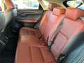 Lexus NX 300 2.5 Hybrid 4WD Luxury cvt Grigio - thumbnail 13