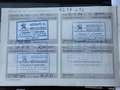 Peugeot Partner 4x4 Dangel Standard 600kgs BlueHDi 96kW Blanco - thumbnail 30
