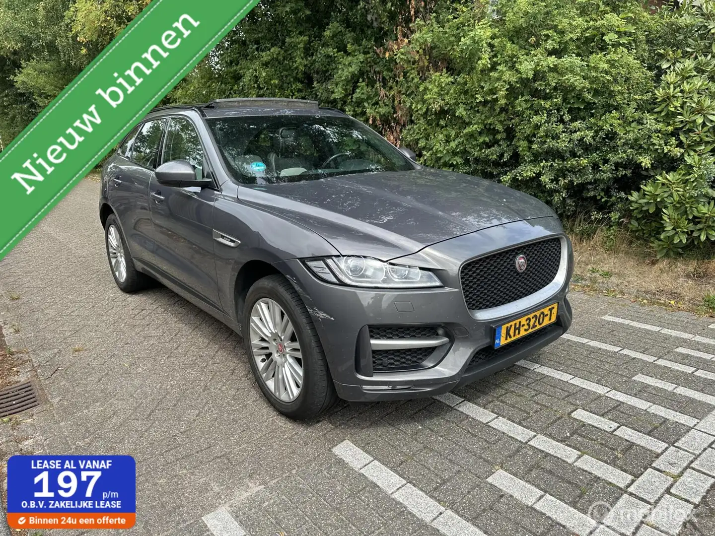 Jaguar F-Pace 2.0 R-Sport AWD 20d ex bpm Grijs - 1