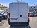Citroen Jumper 33 BlueHDi 140 S&S L2 H2, PM-TM Furgone Bianco - thumbnail 5