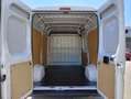 Citroen Jumper 33 BlueHDi 140 S&S L2 H2, PM-TM Furgone Bianco - thumbnail 12
