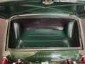 Triumph TR3 Grün - thumbnail 46