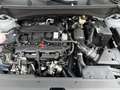 Kia Sportage ANNIVERSARY Edition Gris - thumbnail 19