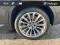 BMW X3 xDrive30d Luxury Line AHK LED HiFi HUD RFK Grau - thumbnail 12