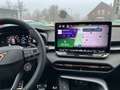 CUPRA Terramar VZ / UPE: 65.550,- € / 2.0 TSI ACC NAVI MATRIX-LED Grau - thumbnail 11