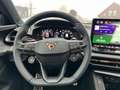 CUPRA Terramar VZ / UPE: 65.550,- € / 2.0 TSI ACC NAVI MATRIX-LED Grau - thumbnail 13