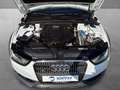 Audi A4 allroad 2.0 Quattro #AUT #XEN #STHZ #AHK #KAM Weiß - thumbnail 17