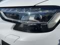 Audi A8 55 TFSI QU S-LINE 5JG+MATRIX+NAV+AIR+PANO+B&O Bianco - thumbnail 22