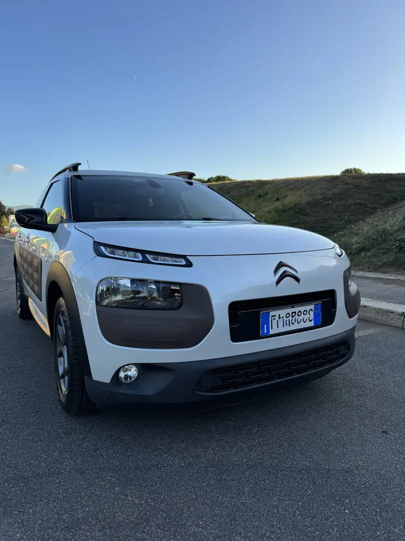 Citroen C4 Cactus BlueHDi 100 Shine Bianco - 1