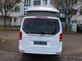Mercedes-Benz Marco Polo V 250 Marco Polo Edition Küche 4-Matic Easy Up Blanc - thumbnail 9