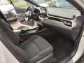 Toyota C-HR Hybrid mit Navi RelaxGarantie bis April 2033 Weiß - thumbnail 19